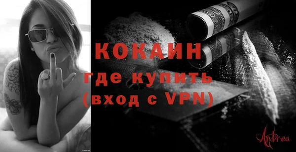 гидра Кулебаки